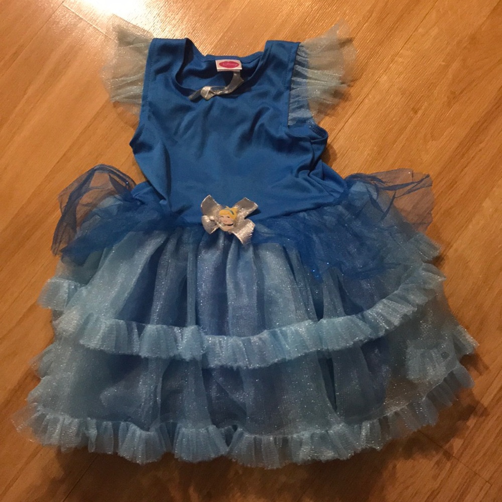 Disney Cinderella costume